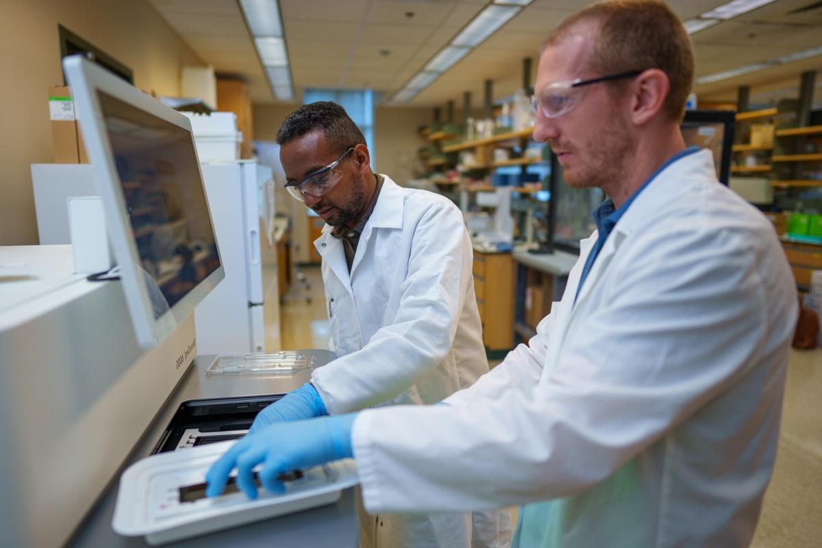 两个男人站在潮湿的实验室空间里，在一台基因测量机上工作