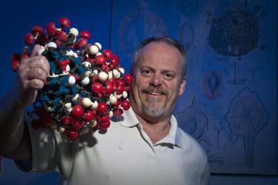 凯利·托马斯，分子、细胞和生物医学科学教授.