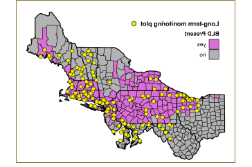 A map showing northeastern and northern Atlantic seaboard states, from Ohio through New England. 粉红色的县表示发现山毛榉叶病的地方.